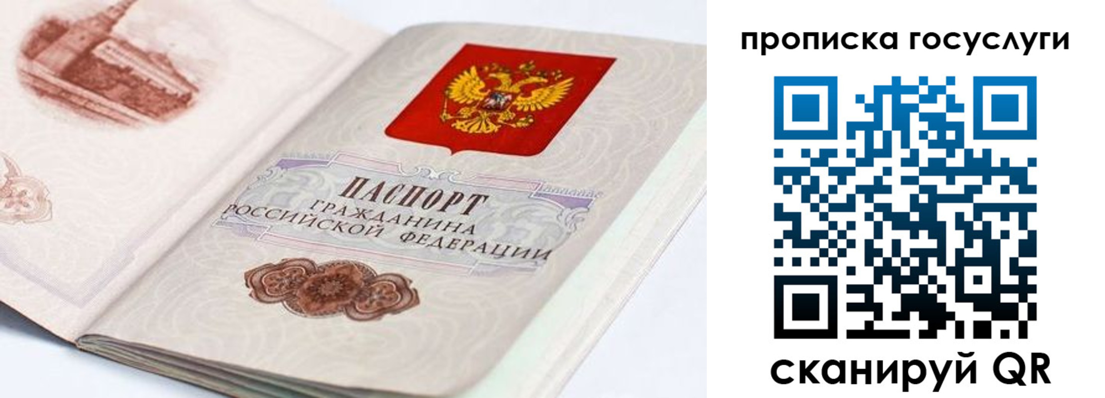 прописка гарантия в Завитинске